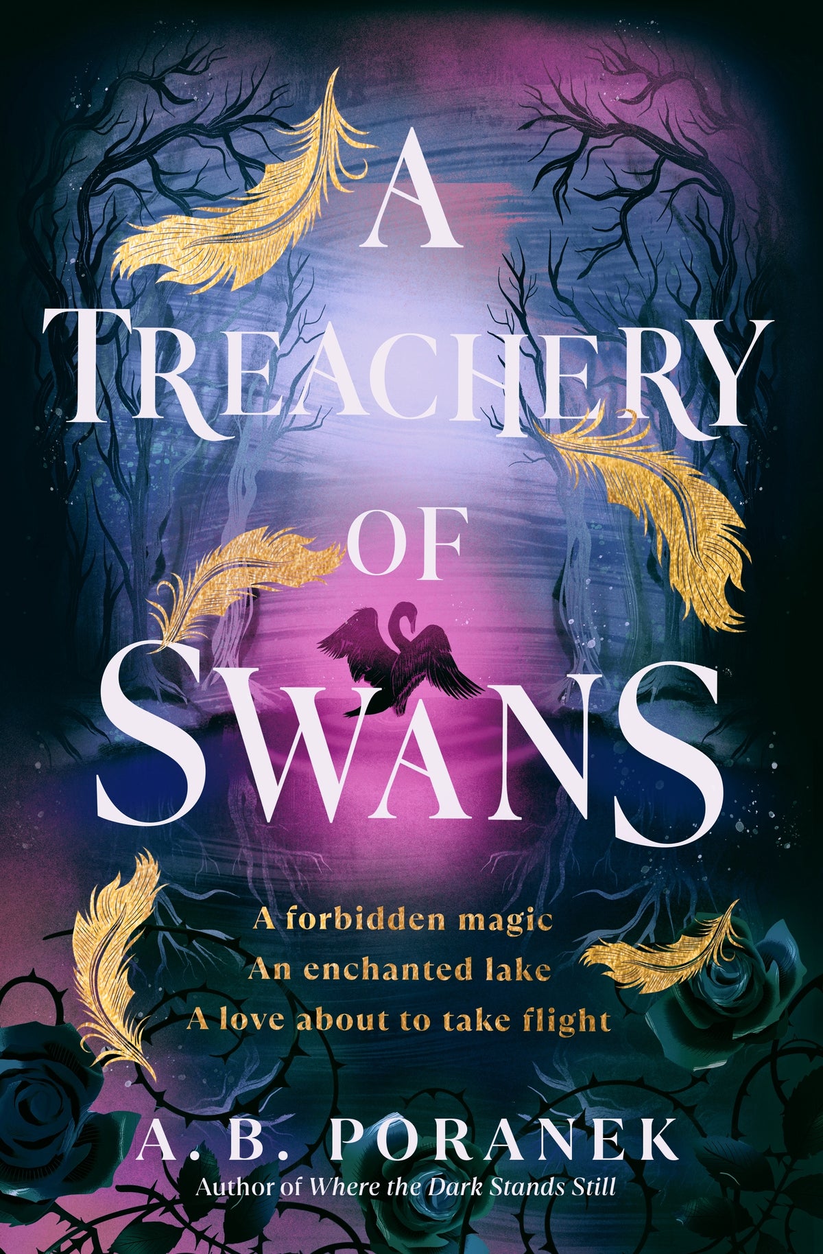 Book cover of &#39;A Treachery of Swans&#39; with feathers and dark background