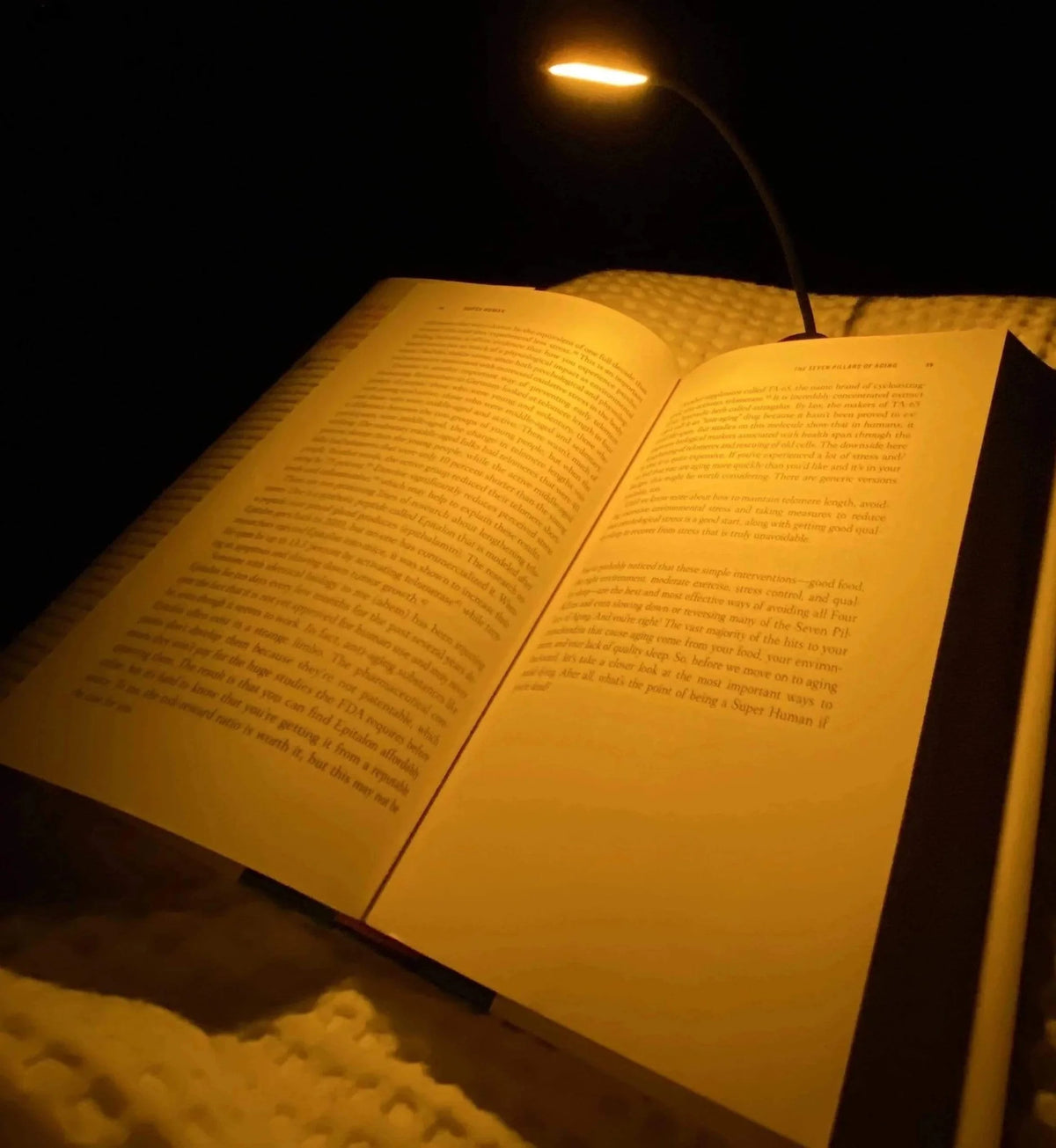 Open book illuminated by a small lamp on a dark background
