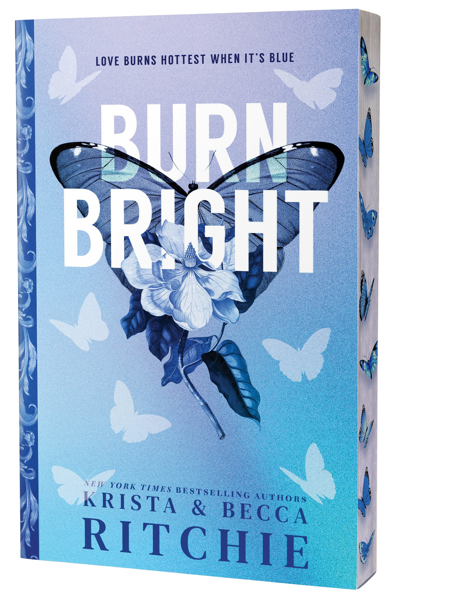 Book cover of 'Burn Bright' featuring a light blue background with a large blue butterfly over a flower