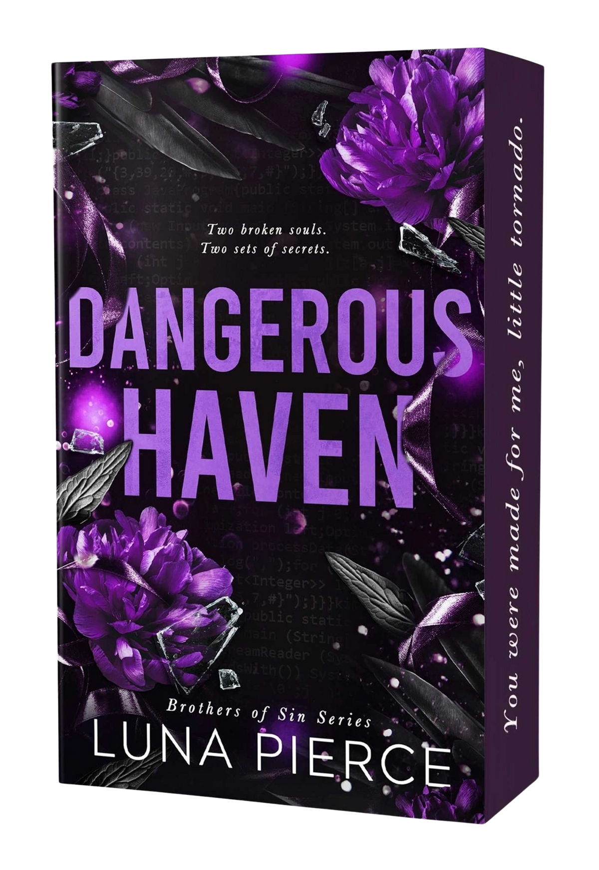 Dangerous Haven [Deluxe Edition]