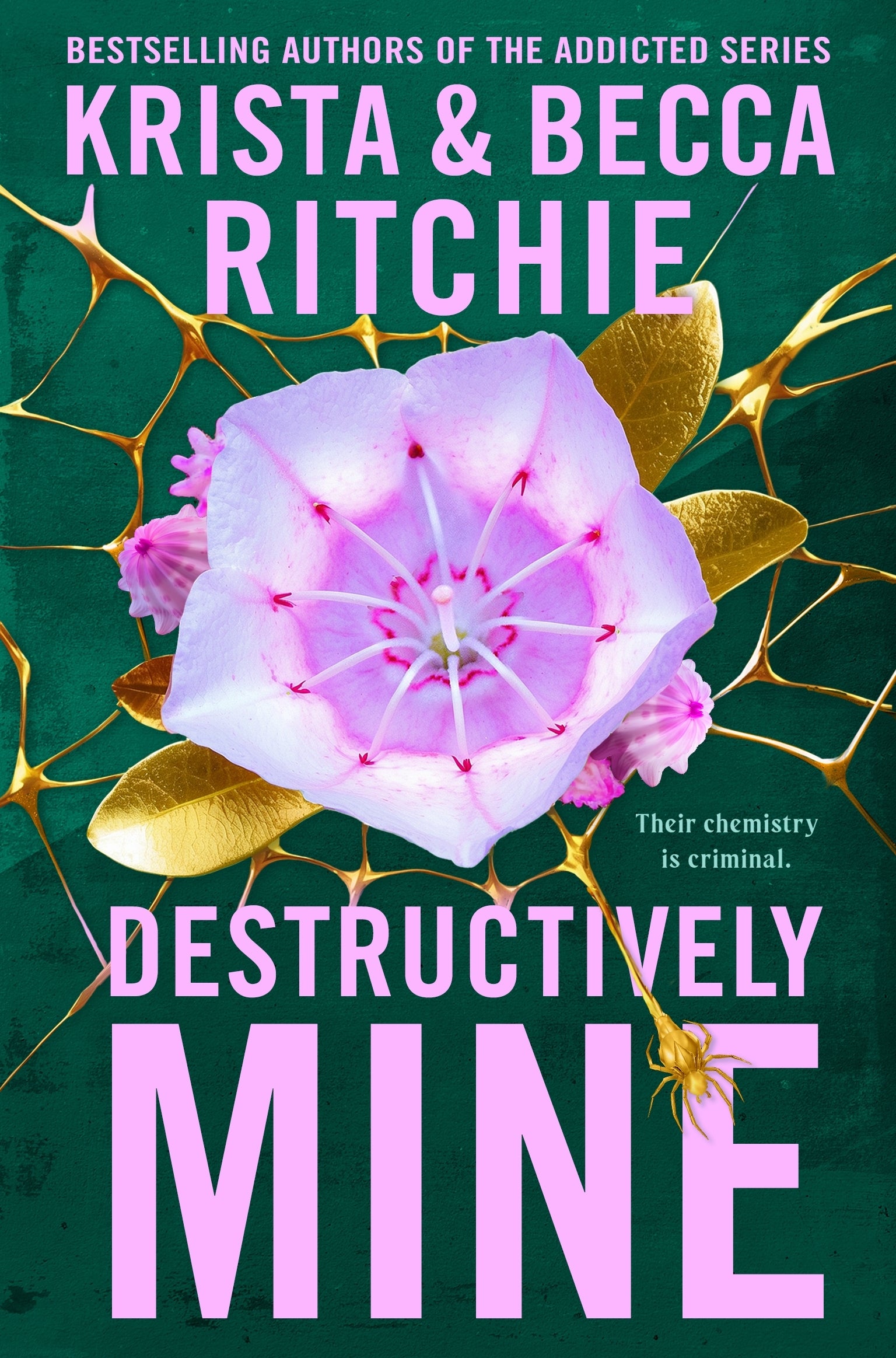 Destructively Mine / Krista Ritchie & Becca Ritchie / Buy Now Online