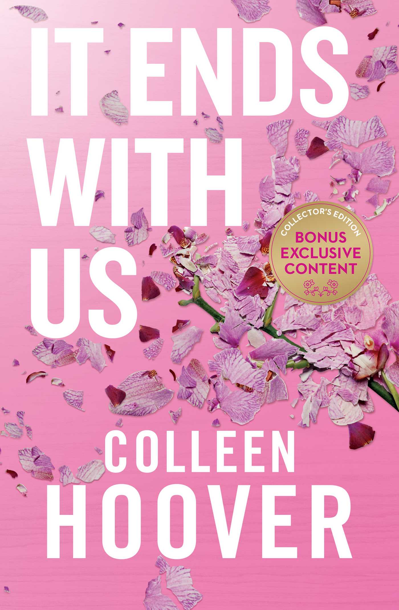 IT ENDS WITH US SE / COLLEEN HOOVER / BUY NOW ONLINE