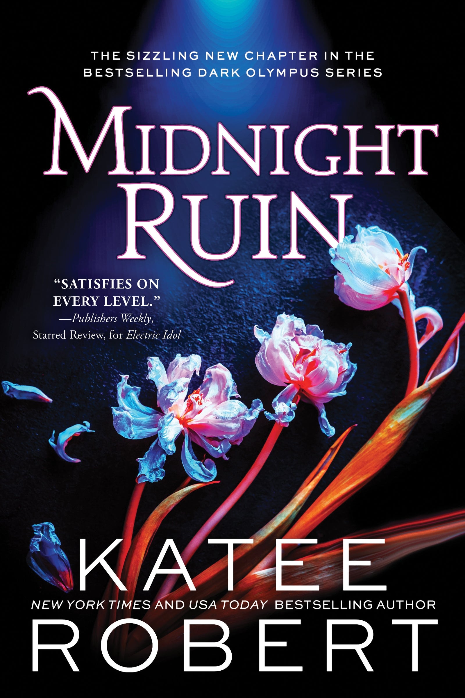 Midnight Ruin / Katee Robert / Buy Now Online