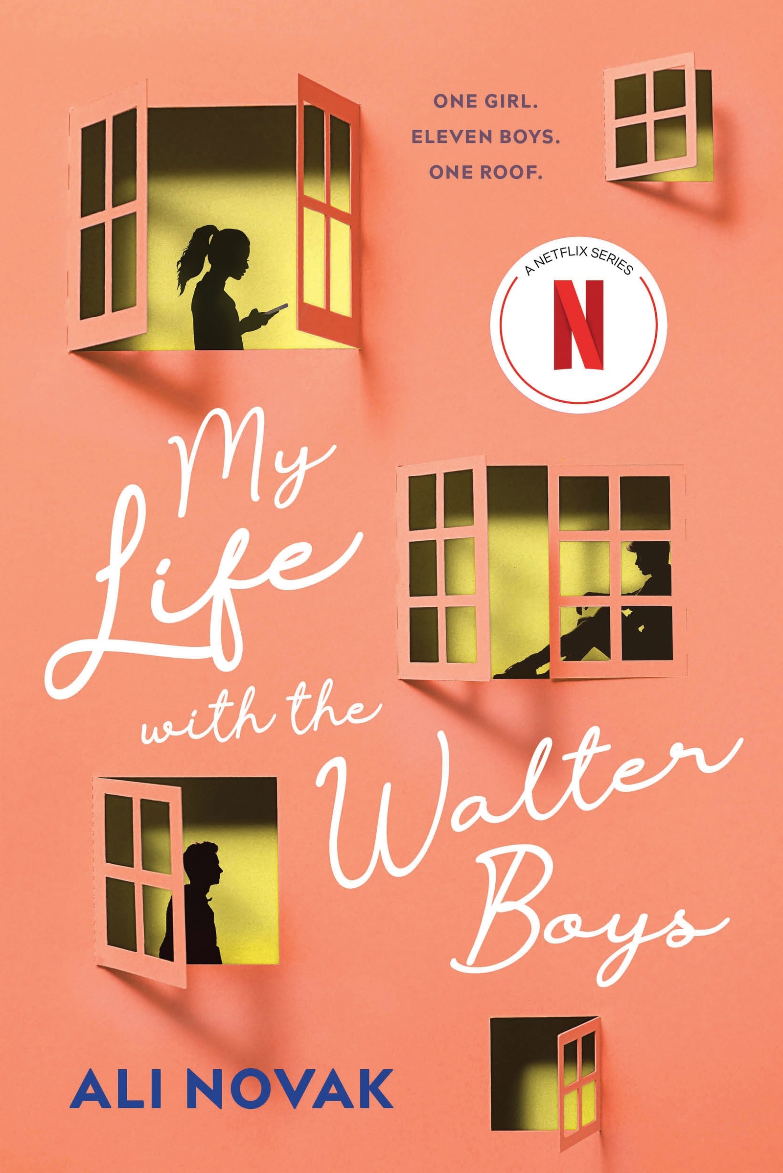My Life with the Walter Boys / Ali Novak / Buy Now Online