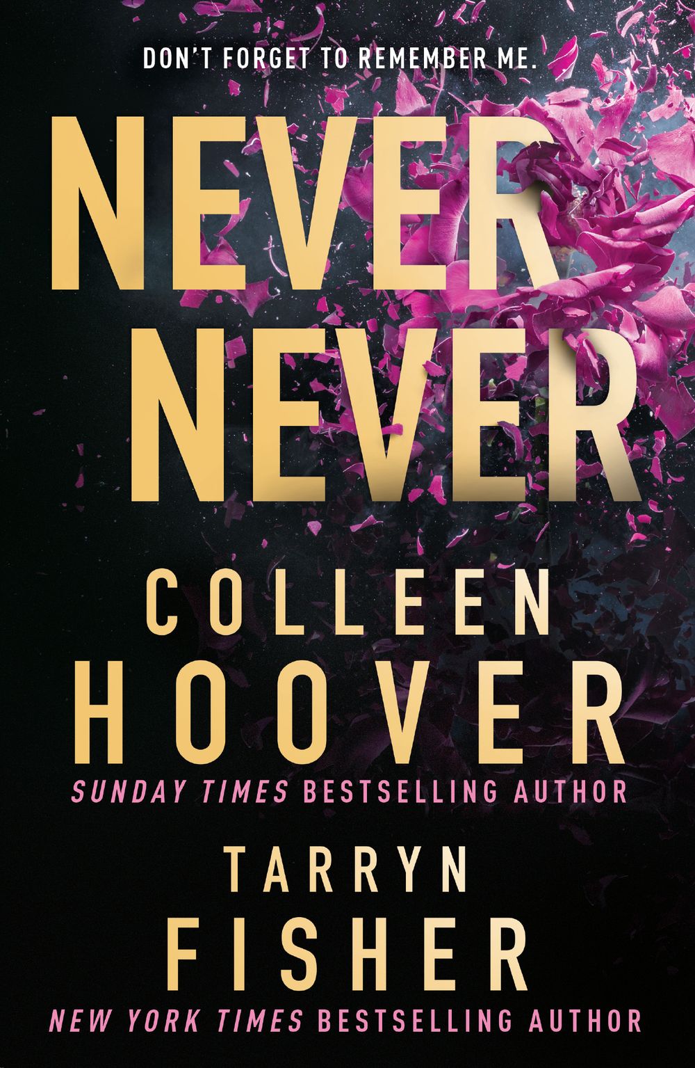 NEVER NEVER / COLLEEN HOOVER &amp; TARRYN FISHER / BUY NOW ONLINE