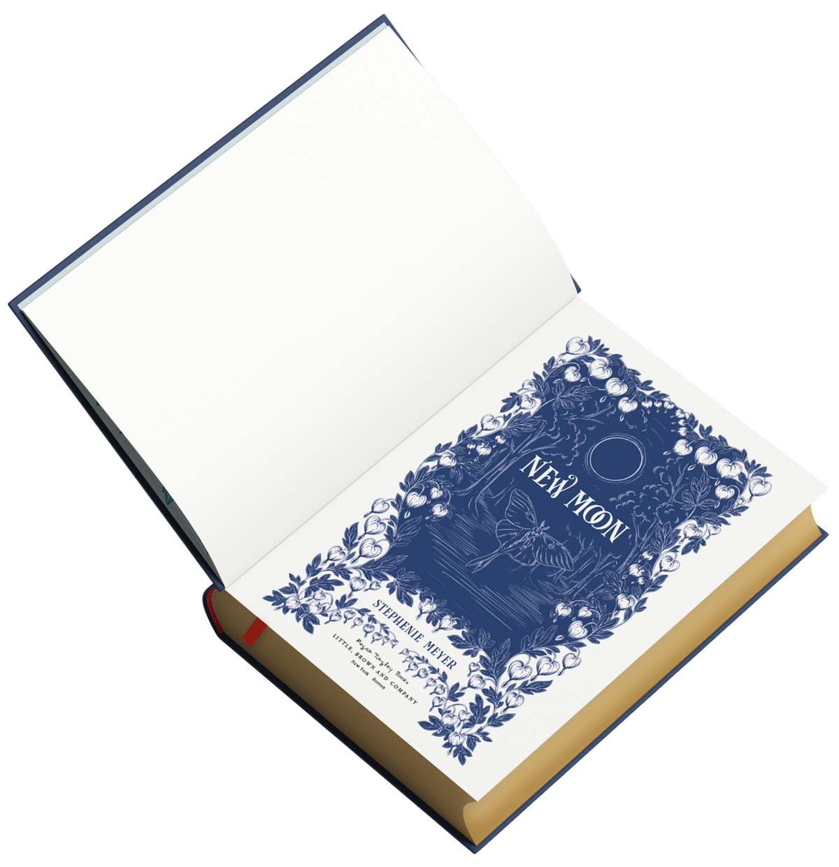 Book with decorative blue cover on a white background