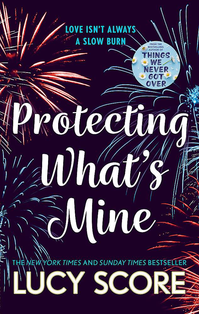 Book cover of 'Protecting What's Mine' featuring fireworks in the night sky