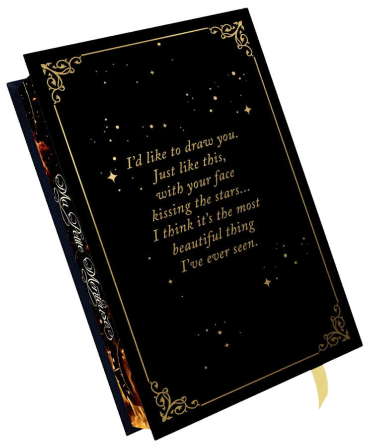 Back cover 'Scarred' with gold text on a black cover 