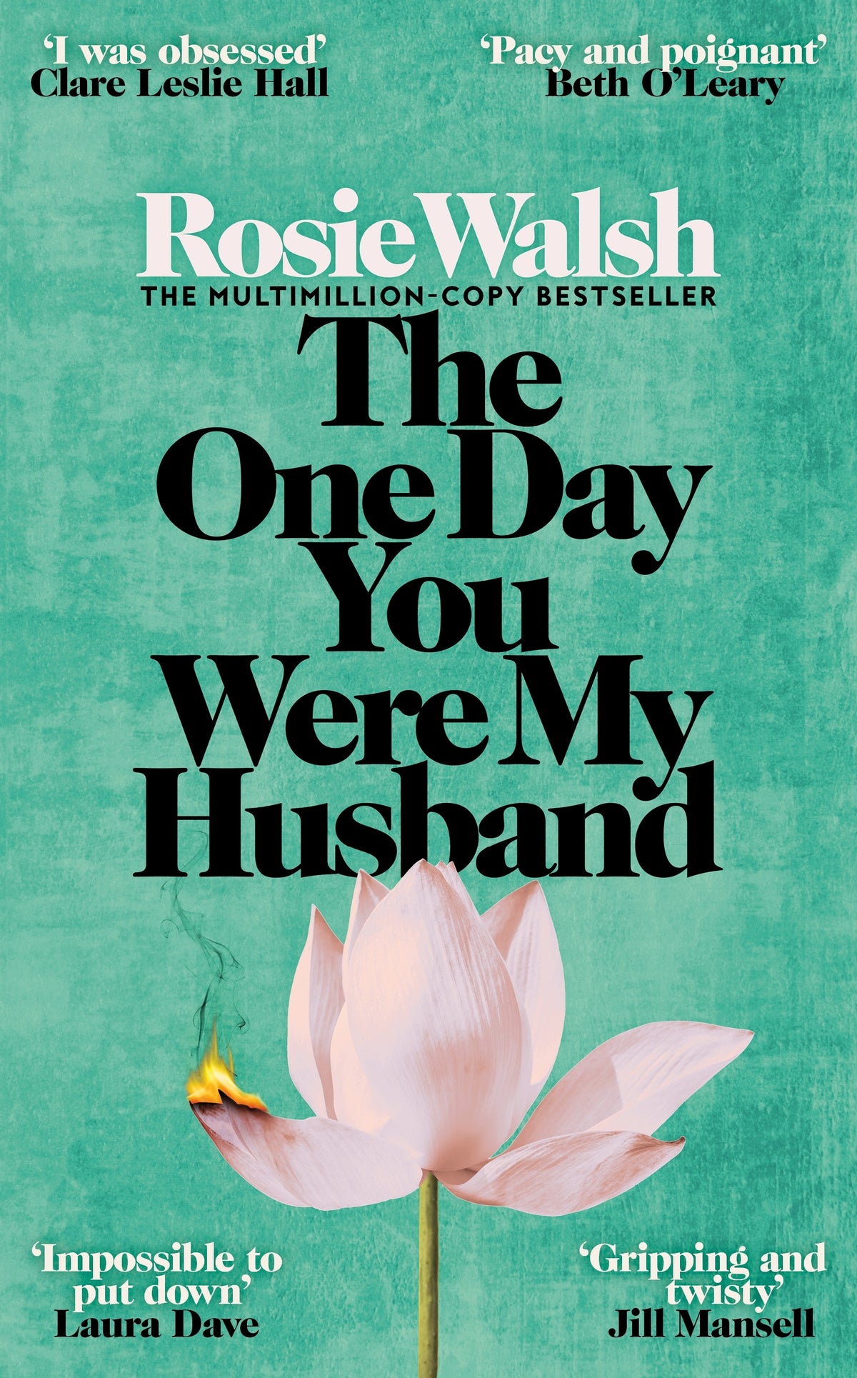 Book cover of 'The One Day You Were My Husband' with a pink flower burning on a teal background