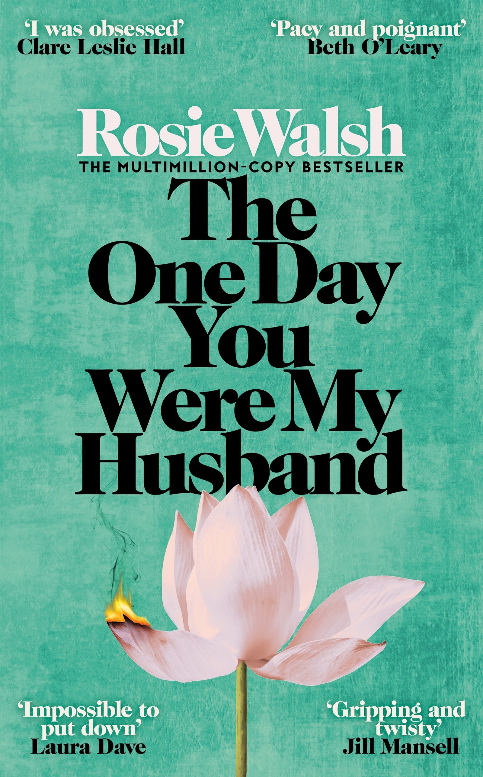 Book cover of 'The One Day You Were My Husband' with a pink flower burning on a teal background