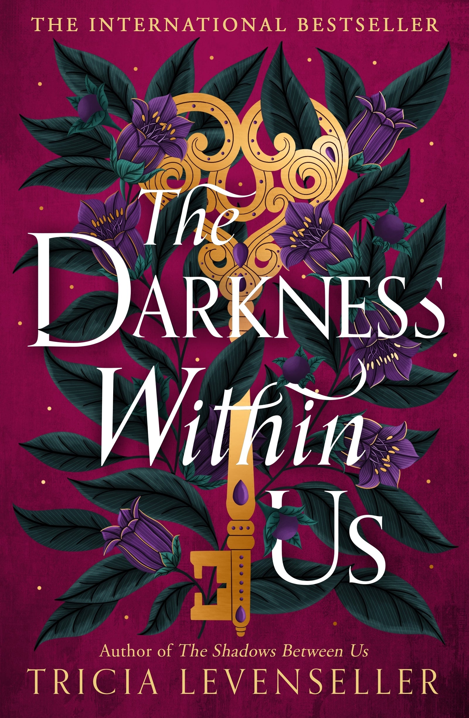 The Darkness Within Us / Tricia Levenseller / Buy Now Online