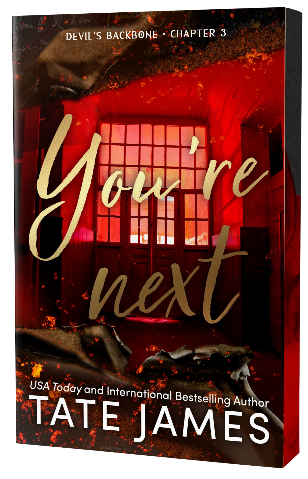 Book cover of 'You're Next' with the image of a burning house in ash 