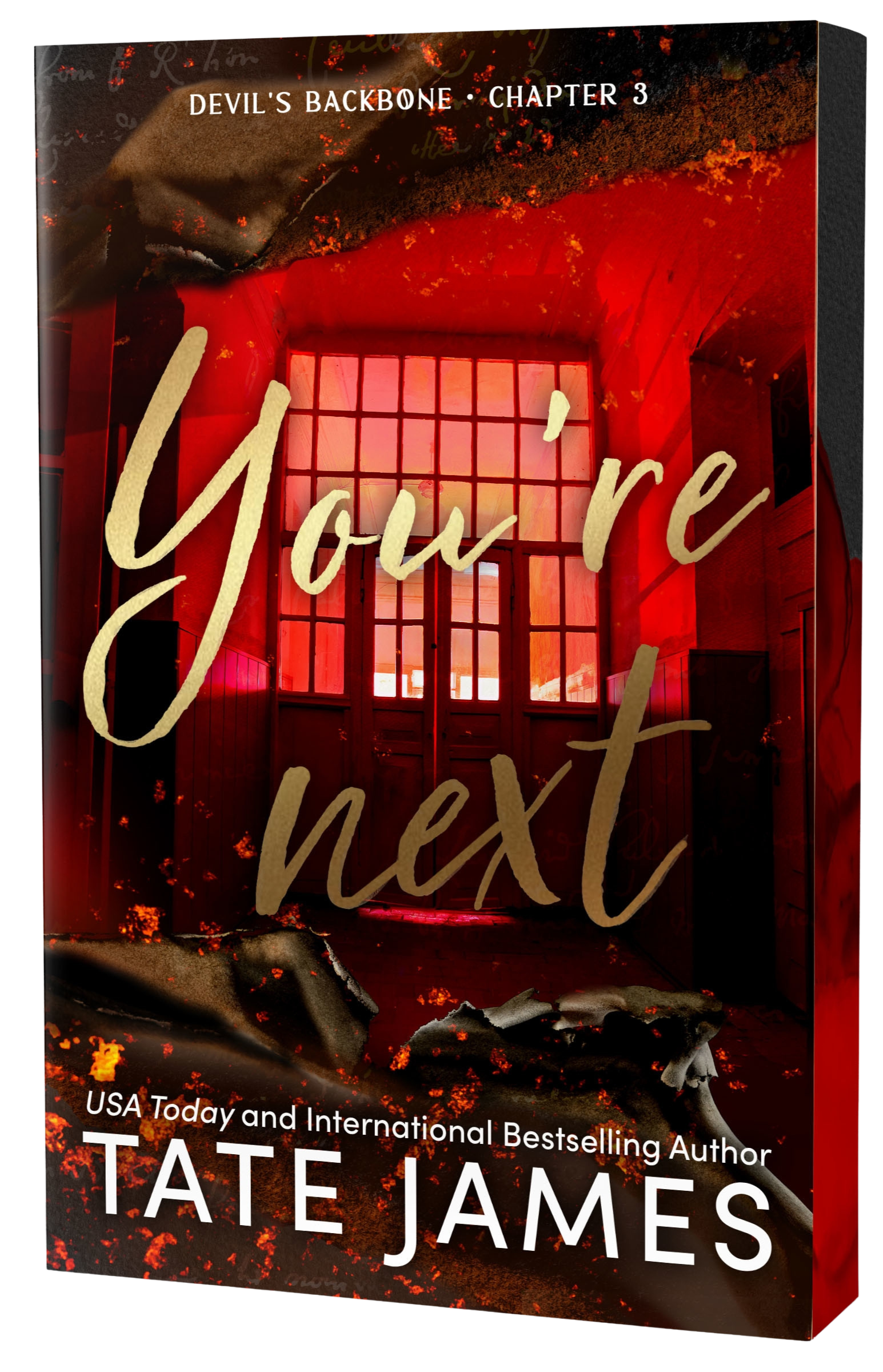 Book cover of 'You're Next' with the image of a burning house in ash 